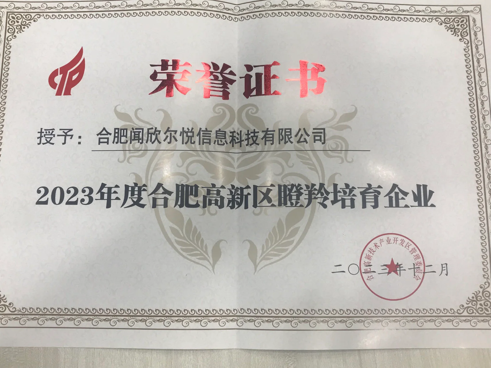 合肥高新区瞪羚培育企业